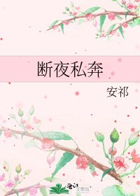 《斷夜私奔》