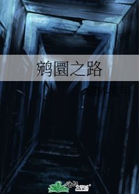 《鵷圜之路》