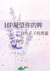 《HP凝望你的眸》