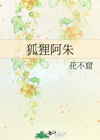 《狐狸阿朱》