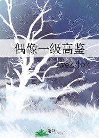 《偶像一級高鑑》