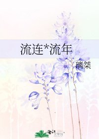 流連*流年