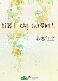 《折翼‖飛翔(動漫同人)》