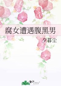 《腐女遭遇腹黑男》