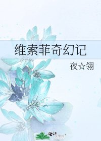 《維索菲奇幻記》