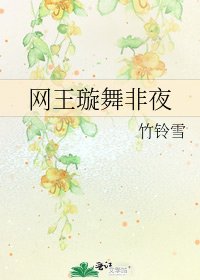 《網王璇舞非夜》