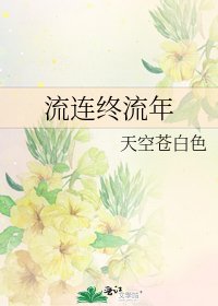 流連終流年