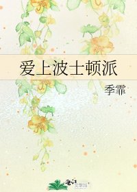 《愛上波士頓派》