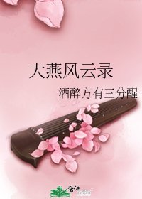 《大燕風雲錄》