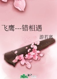 《飛鷹---錯相遇》