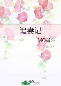 《追妻記》