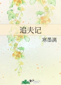 追夫記