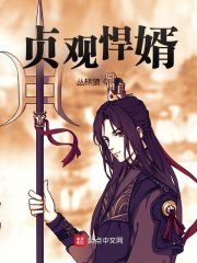 《貞觀悍婿》