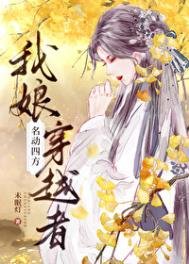 《我娘,穿越者,名動四方》