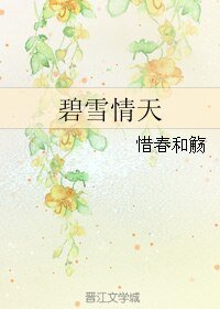 碧雪情天