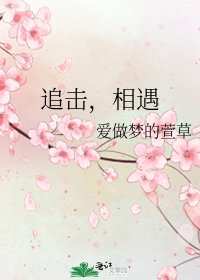 追擊，相遇