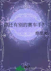 《你還有別的賽車手?》