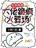 《裝乖離婚,大佬跪瘋火葬場》