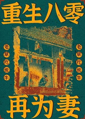 重生八零再為妻