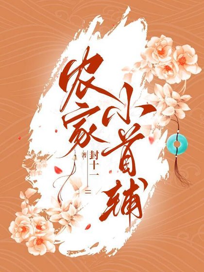 農家小首輔