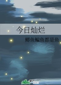 《今日燦爛》