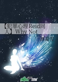 《【犯罪心理Reid同人】Why Not》