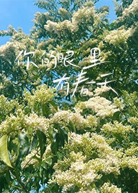 《你的眼裏有春天》