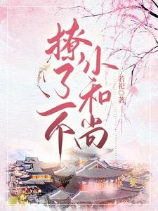 《撩了一個小和尚》