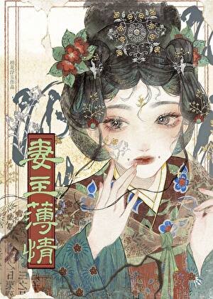 妻主薄情（女尊）