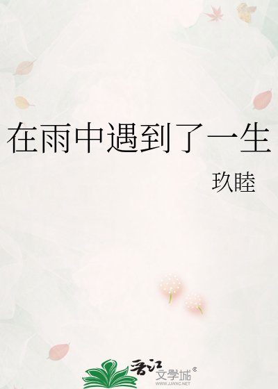 在雨中遇到了一生