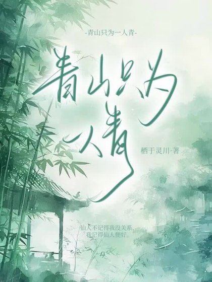 青山只為一人青