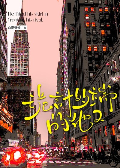 詭計多端的他2