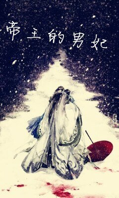 《帝王的男妃》