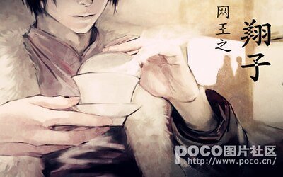 《(網王同人)網王之翔子》