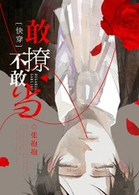 《敢撩不敢當/快穿之撩漢系統》